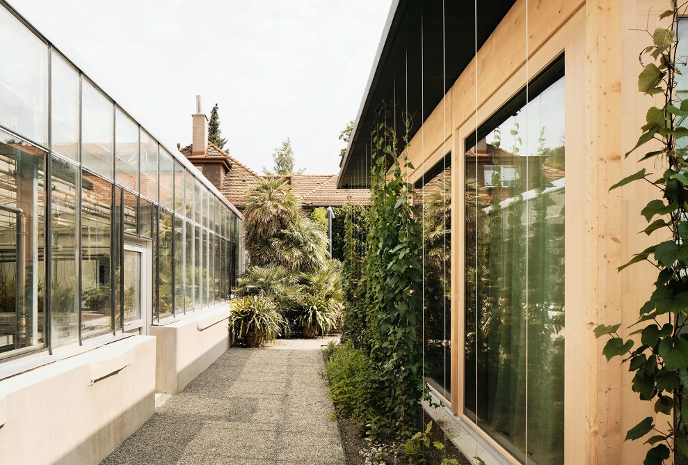 Seitenansicht des Neubaus in Holzbauweise im botanischen Garten St. Gallen. Der Vortragssaal mit begrünter Fassade steht neben einem Gewächshaus aus Glas. 