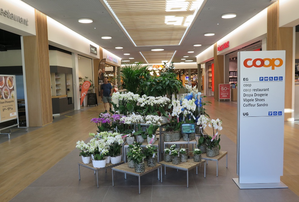 Eingangsbereich des Coop Super Center mit Fussboden aus hellem Holz und Blumen-Verkaufsständer.