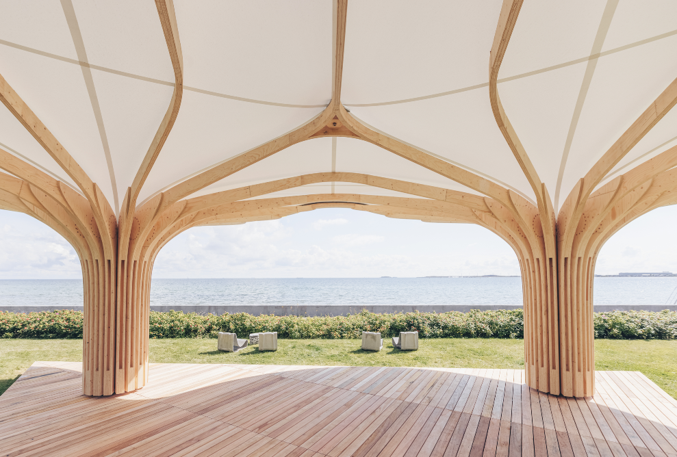 Two shades, the branches of which form the shared pavilion roof. 