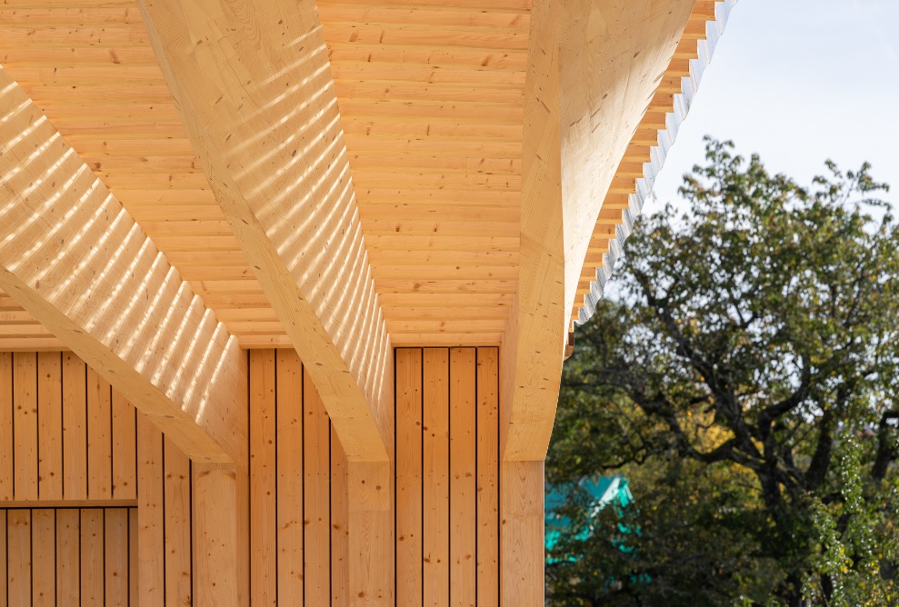 The finely crafted roof with curved beams and precisely joined cladding reflects the artisanal quality of the new timber Preparations House.