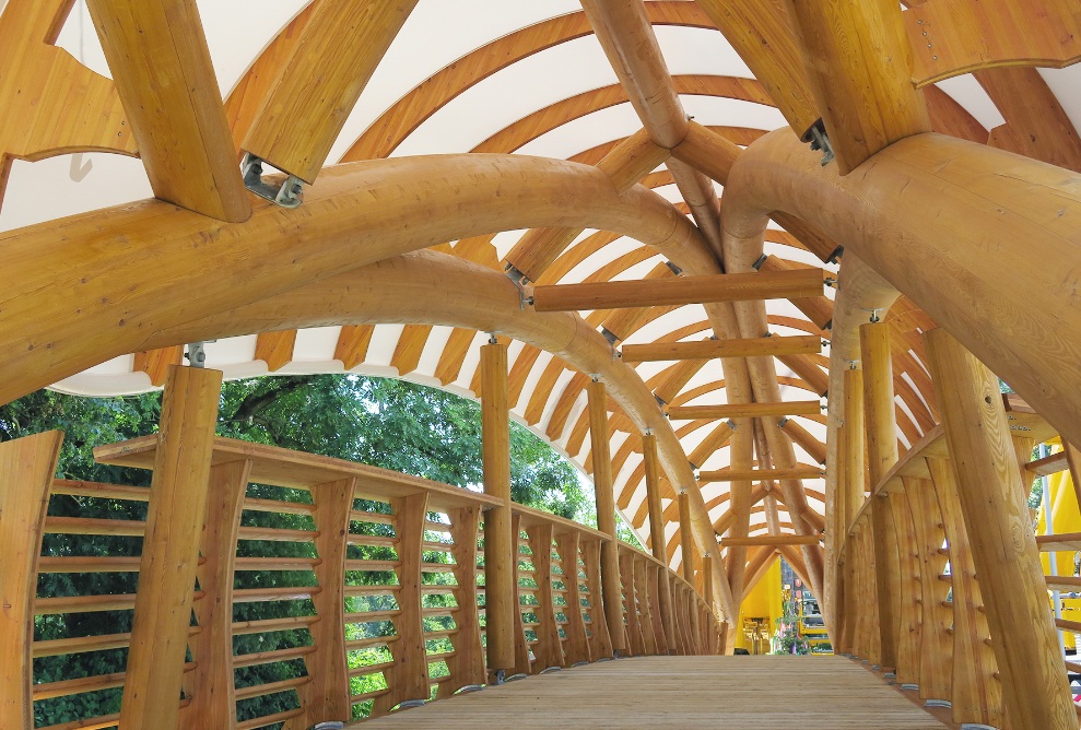 Die Holzkunstbrücke Aubrugg ist von innen zu sehen. Geschwungene massive Holzstrukturen und ein hohes Holzgeländer sind zu erkennen.