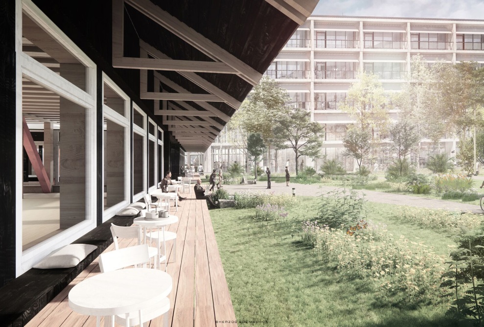 Véranda et face inférieure du toit de l'immeuble de bureaux Hortus en bois
