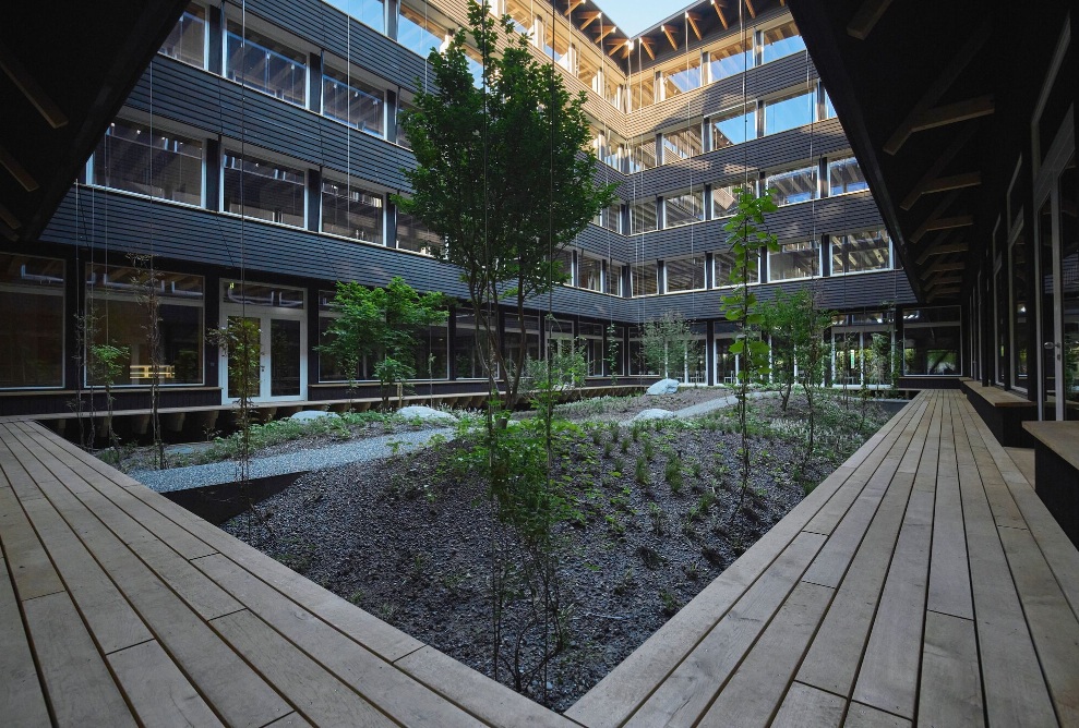 Gesamtansicht des begrünten Innenhofs im Hortus mit umlaufendem Holzsteg und moderner Fassade