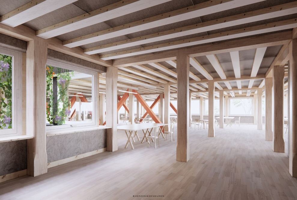 Intérieur de l'immeuble de bureaux Hortus avec structure en bois 