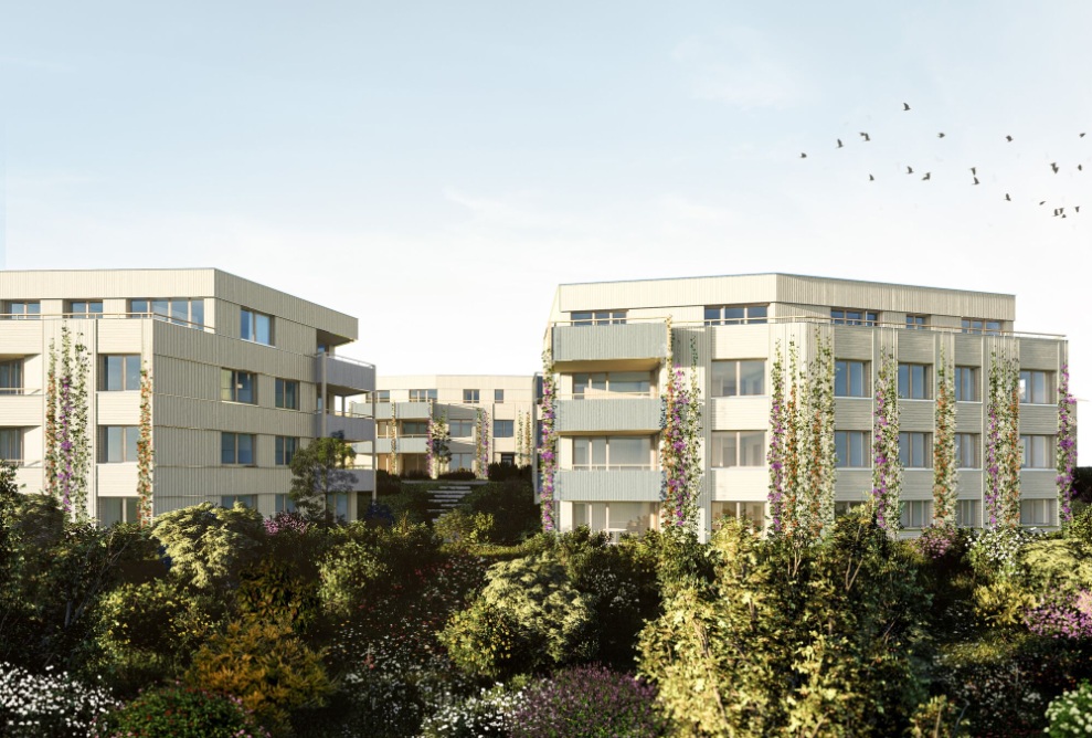 Visualisierung der drei Wohngebäude der Klimasiedlung Augarten