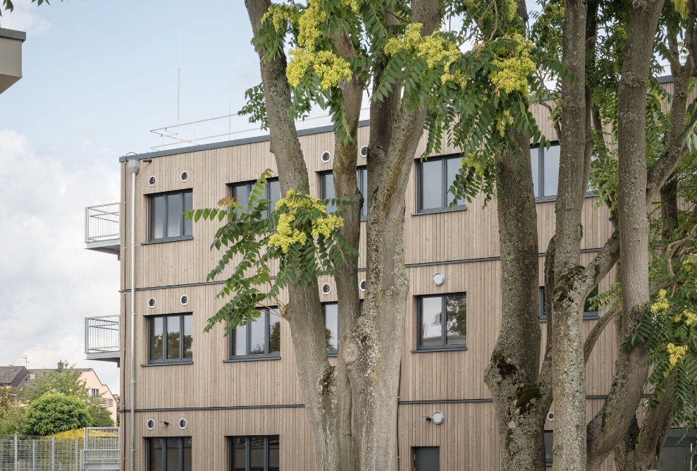 Erweiterungsbau des Landgraf-Ludwig-Gymnasiums umgeben von Bäumen