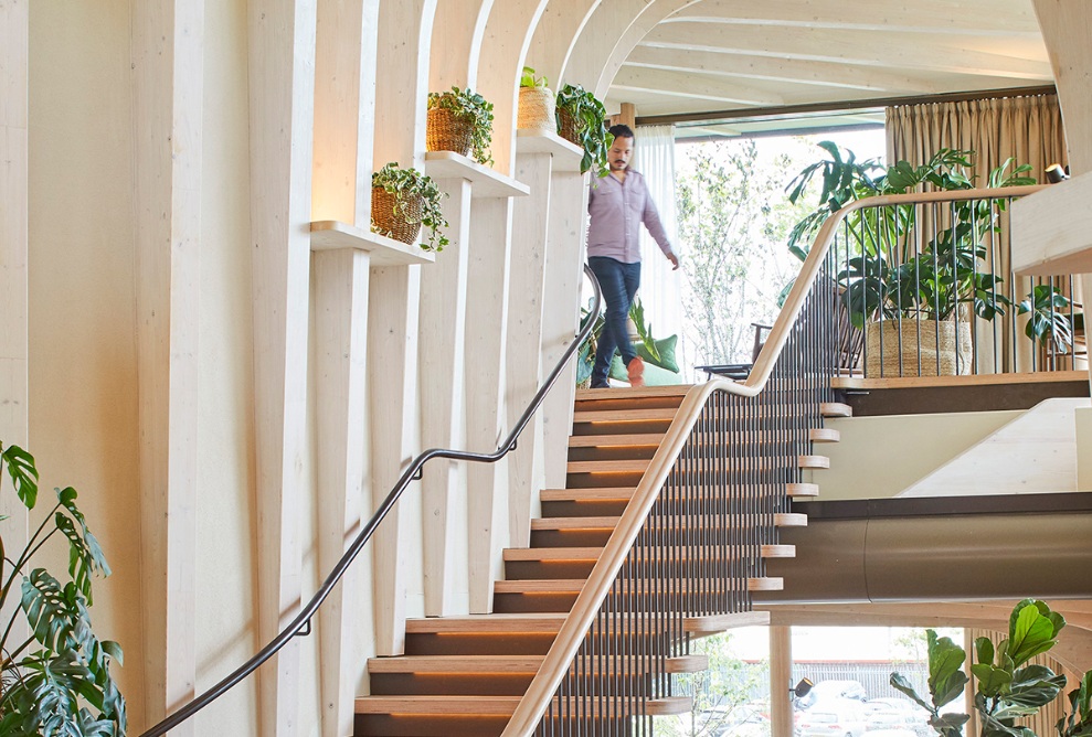 View of the wooden stairs inside Maggie’s Centre