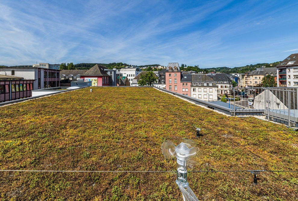 Green roof of the Ettelbrück primary school