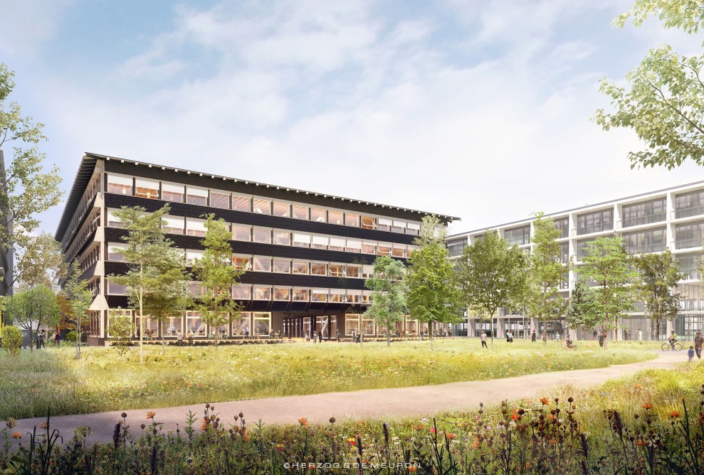 Immeuble de bureaux Hortus en bois avec environnement végétal 