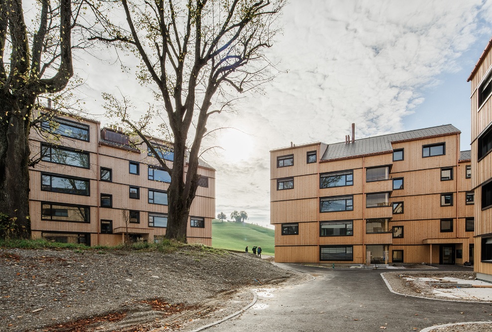 Um einen Innenhof mit zwei Bäumen gruppieren sich drei mehrgeschossige Holzbauten