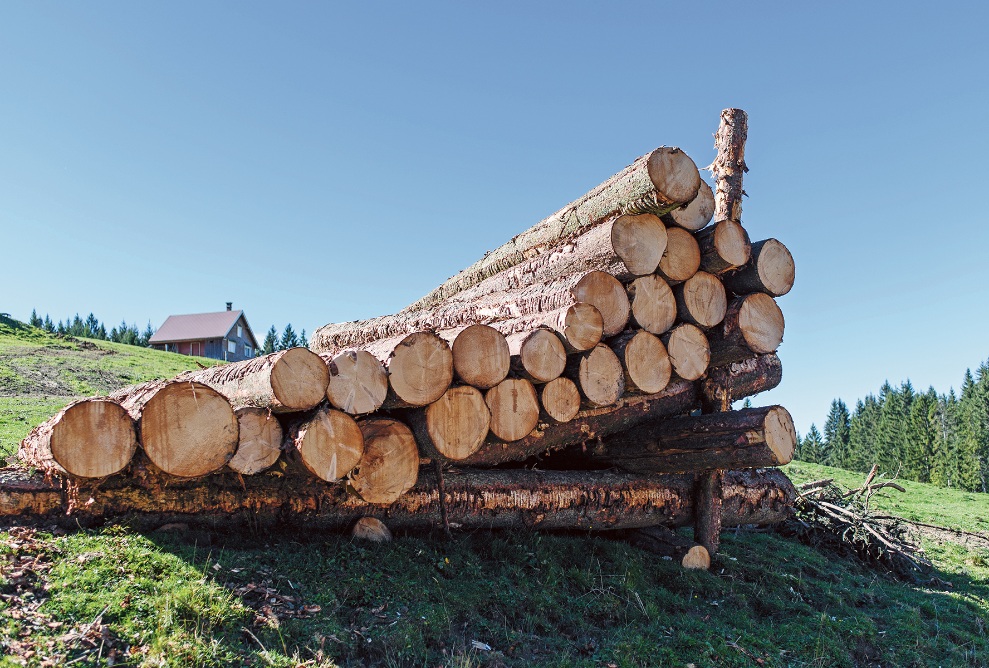 Stacked logs