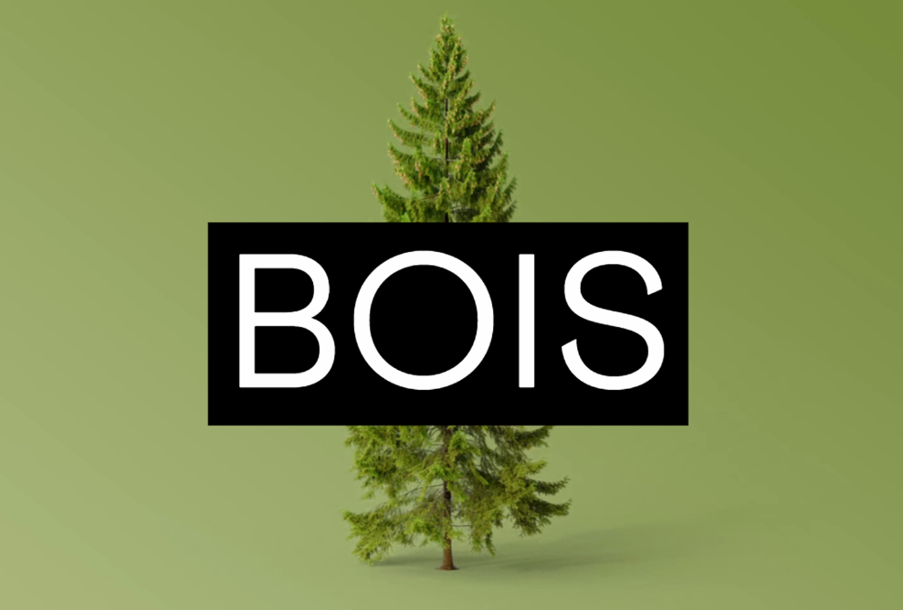 Annonce de la fascination du bois